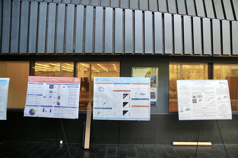 Posters